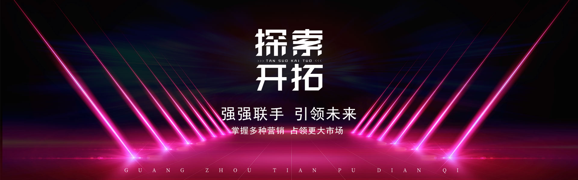 案例呈现_广州市天谱电器有限公司万利达品牌网站